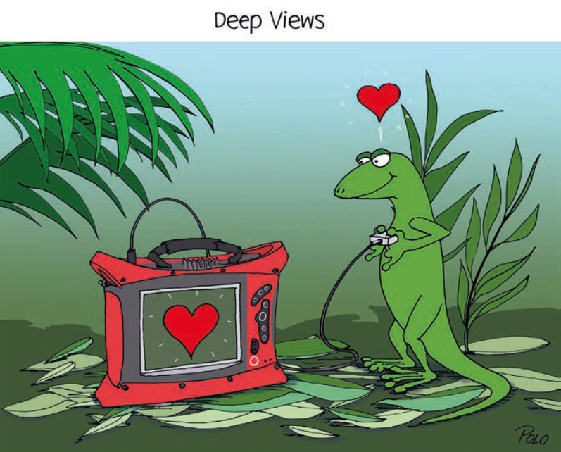 GEKKO Deep Views